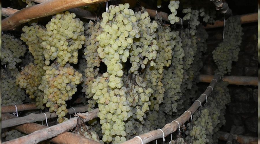 Bu �z�m k���n da sofralarda