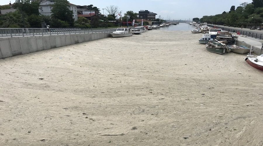 Burası Kadıköy Kurbağalıdere