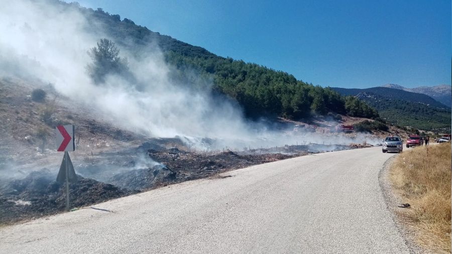 Burdur'da orman yangını