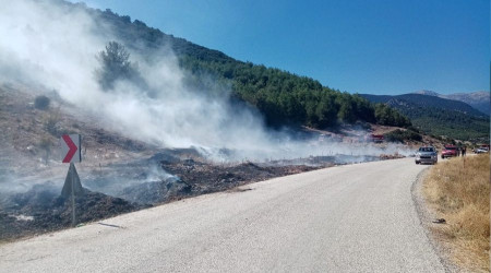 Burdur'da orman yangını