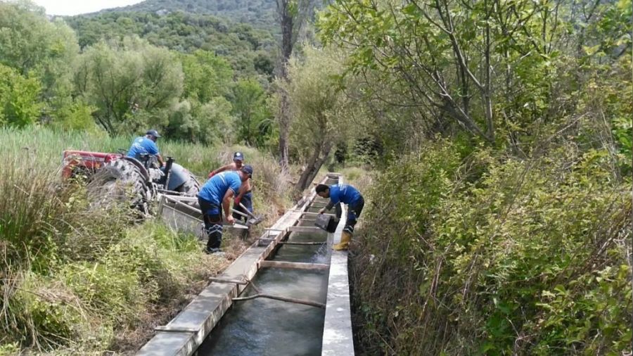 Büyükşehir'den tarıma destek