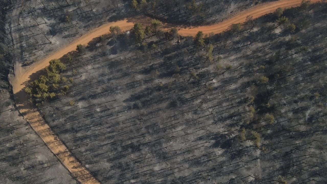 �ank�r�'da ��kan orman yang�n� kontrol alt�na al�nd�