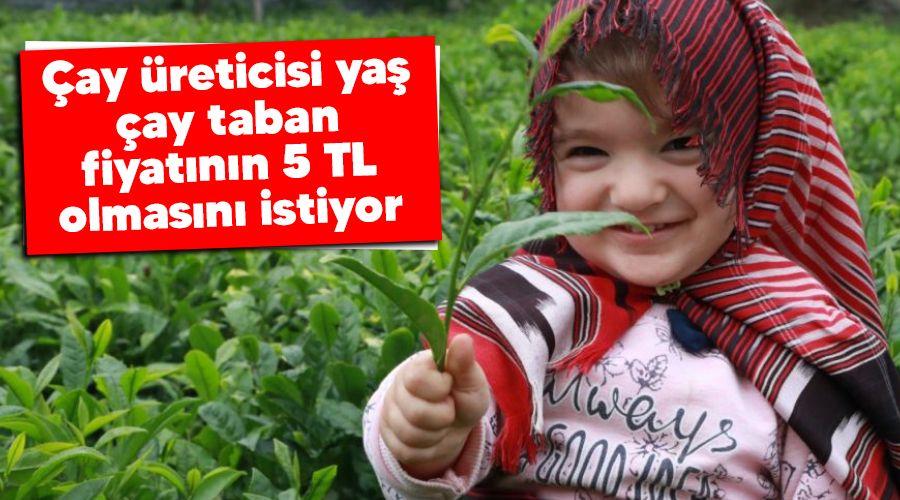 �ay �reticisi ya� �ay taban fiyat�n�n 5 TL olmas�n� istiyor