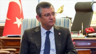 CHP sokak hayvanları için AYM'ye gidiyor