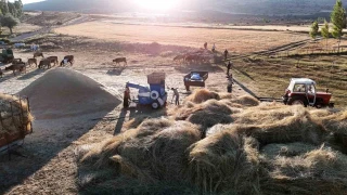 Çiftçiler patoza başladı: Sıcak hava şartlarına rağmen çalışıyorlar