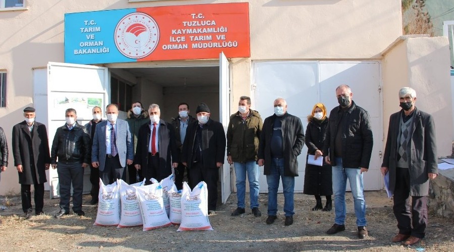 Çiftçilere Baklagil tohumu dağıtıldı