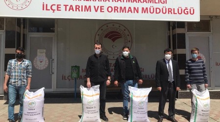 Çiftçilere çeltik tohumu dağıtıldı