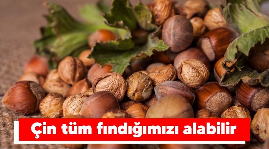 �in t�m f�nd���m�z� alabilir