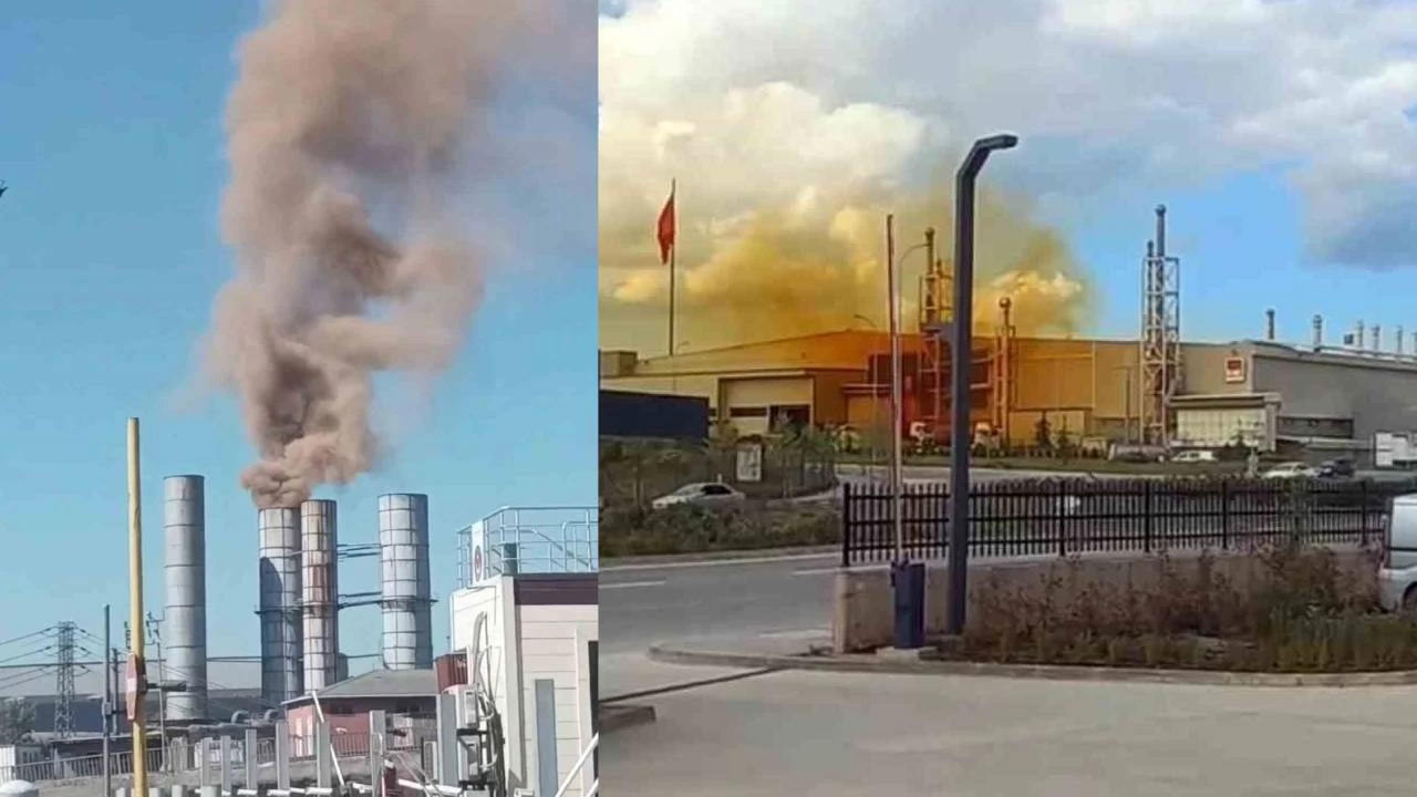 Çolakoğlu ve EAE'ye 929 bin lira çevre cezası