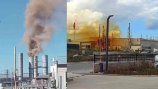Çolakoğlu ve EAE'ye 929 bin lira çevre cezası