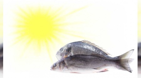 D vitamini eksikliği de fazlalığı da dert