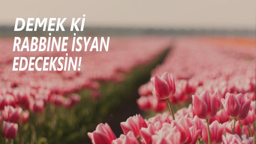 ‘Demek ki Rabbine isyan edeceksin!’