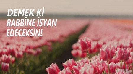 ‘Demek ki Rabbine isyan edeceksin!’