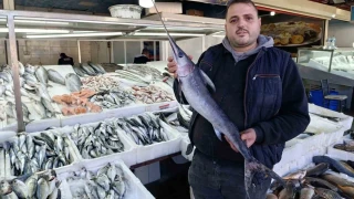 Denize kıyısı olmayan Kahramanmaraş'ta balığa yoğun ilgi