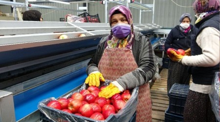 Depoda 2.80 TL'ye satılan elma market ve pazarlarda 8-10 TL