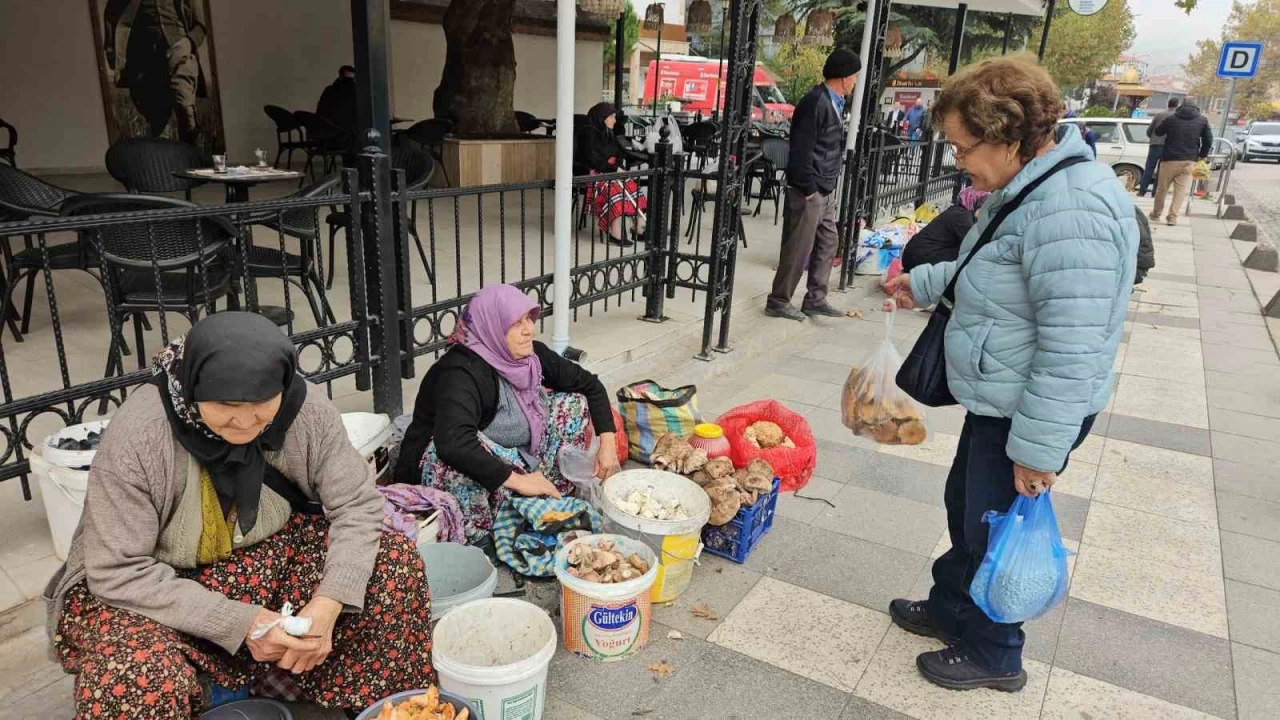 Deprem blgesi Sndrg'da hayat devam ediyor