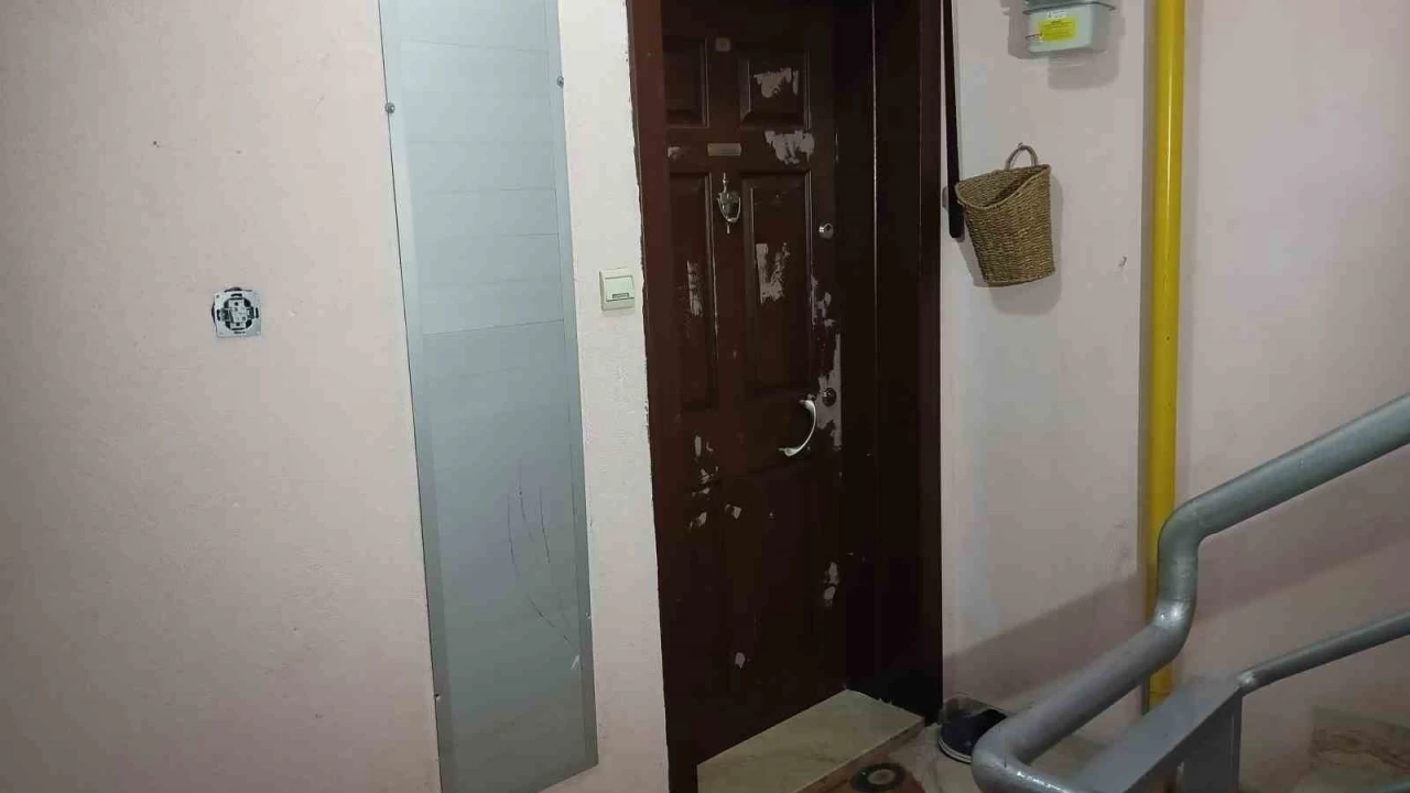 Derin dondurucuda cesedi bulunmuştu: Annesi tespit edildi