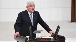 Derviolu: Cumhurbakanl hkmet sistemi demokratik deil