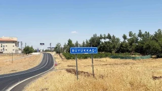 Diyarbak�r'da kedinin �s�rd��� �ocuk ent�be edildi
