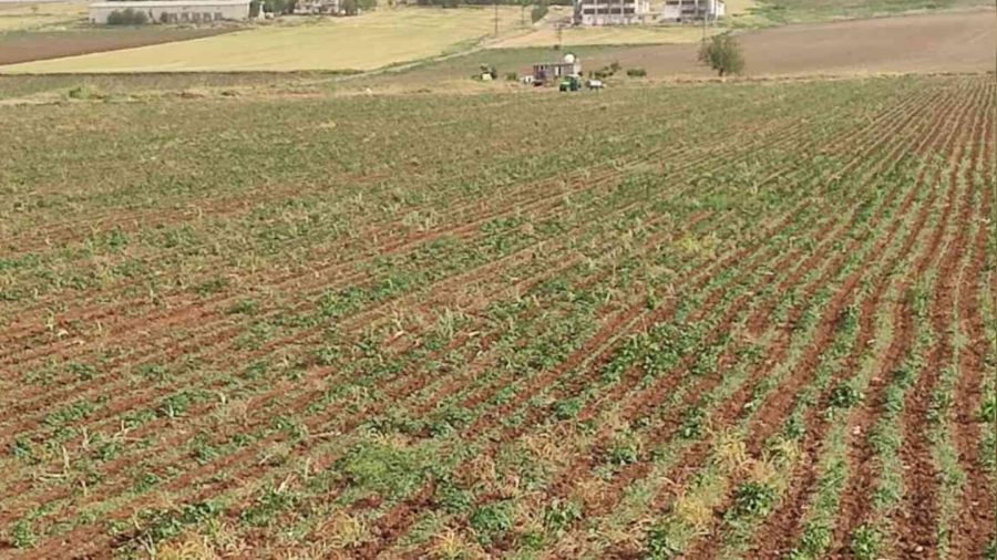 Diyarbakır'da yıldırım çarpması sonucu bir çocuk öldü