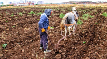 Diyarbakırlı çiftçinin kara saban tesellisi