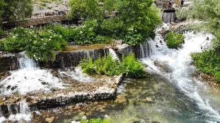 Doann kalbinde bir efsane: Munzur Gzeleri