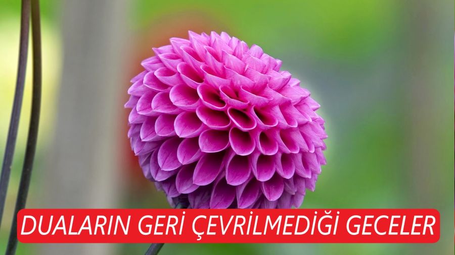 Dualarn geri evrilmedii geceler