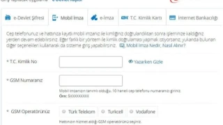 E-devlet g�r�n�ml� site �zerinden milyonluk vurgun