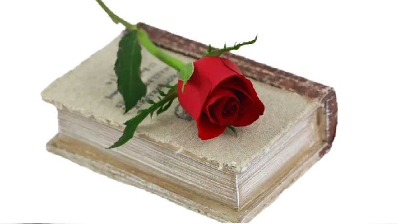 Edebiyat�n ayr�lmaz ikilisi: G�l ve A�k