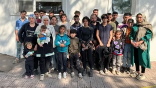 Edirne'de 36 kaçak göçmen yakalandı