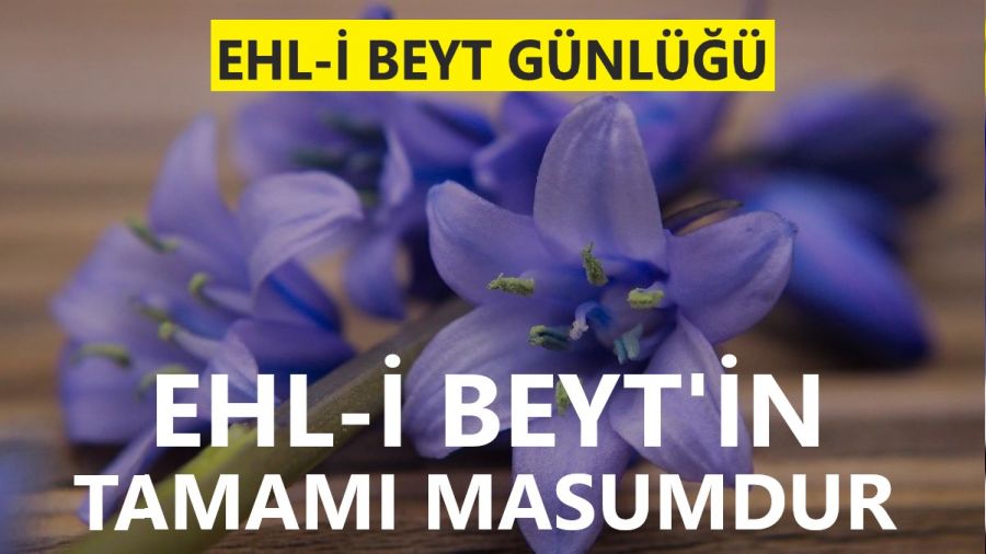 Ehl-i Beyt’in tamamı masumdur