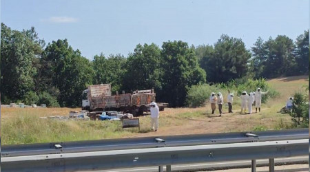Ekipler 4 ölümlü kazaya arıcı kıyafeti giyerek müdahale etti