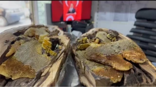 Elaz��'da a�a� kovu�undan 13 kilo bal ��kart�ld�