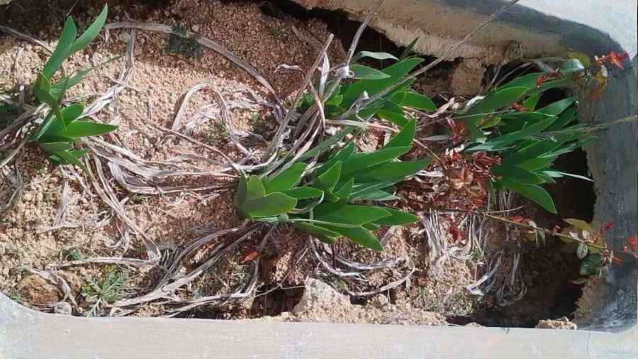 Elaz��'da ya���lar nedeniyle mezarlar ��kt�