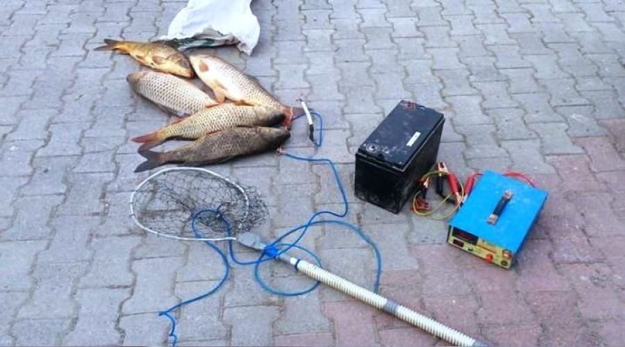 elektroşokla balık avına 29 bin 720 lira ceza
