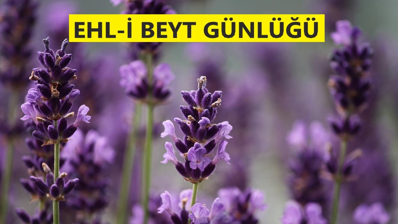 Ensar'ın Sakife'deki duruşu neler kaybettirdi?