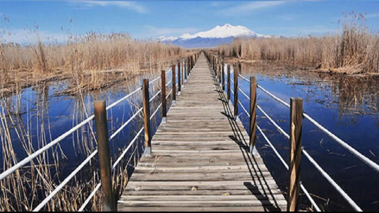 Erciyes eteklerindeki do�al ya�am merkezi: Kayseri Sultan Sazl���