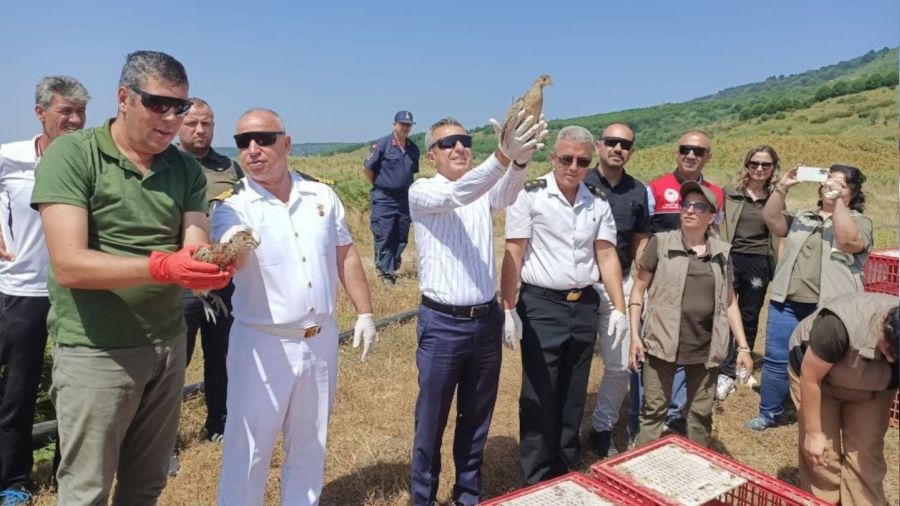 Erdek'te 350 s�l�n ve keklik do�ayla bulu�tu