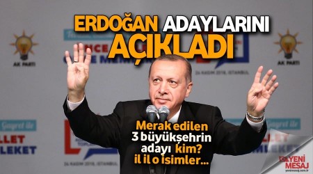 Erdoğan adaylarını açıkladı... İşte o isimler