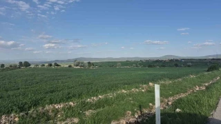 Eski�ehir'de akrabalar aras�nda 'arazi' kavgas�: 1 �l�, 2 yaral�