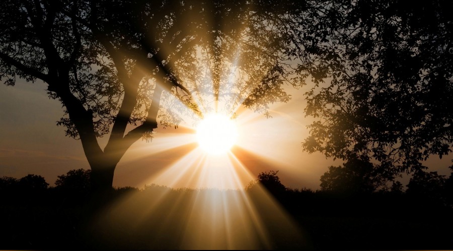 Evde kaln ama gnei grn