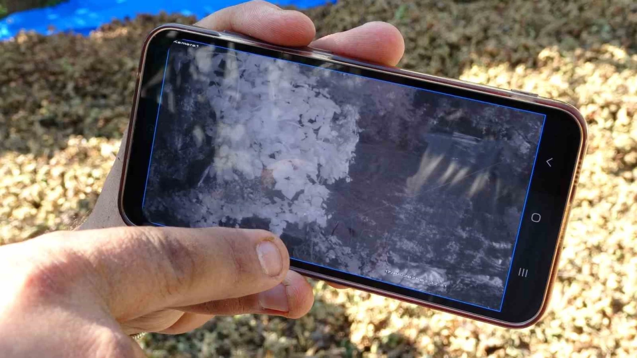 'F�nd���m �al�nd�' diyerek jandarmaya gitti...  Bak�n h�rs�z kim ��kt�?