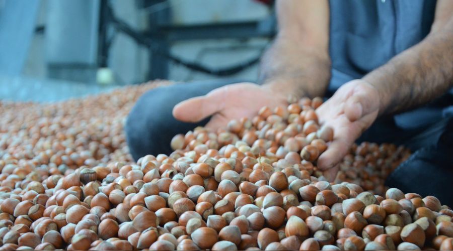 F�nd�kta T�rkiye piyasaya hakim de�il ��nk�...