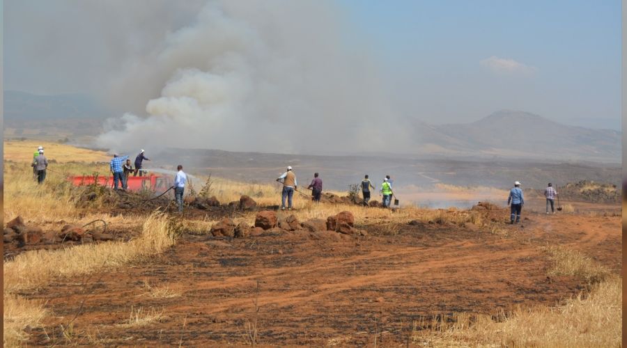 Gaziantep'te bu�day ekili tarlalarda yang�n