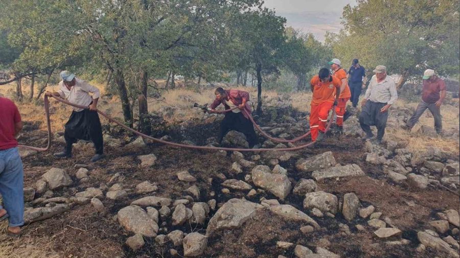 Gaziantep'te d��en y�ld�r�m ormanl�k alan� yakt�