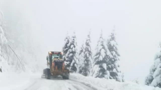 Giresun'da 45 köy yolu kar nedeniyle ulaşıma kapandı