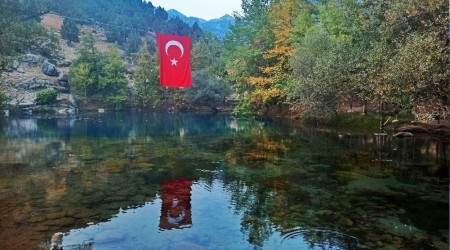 Gizemli gle youn ilgi