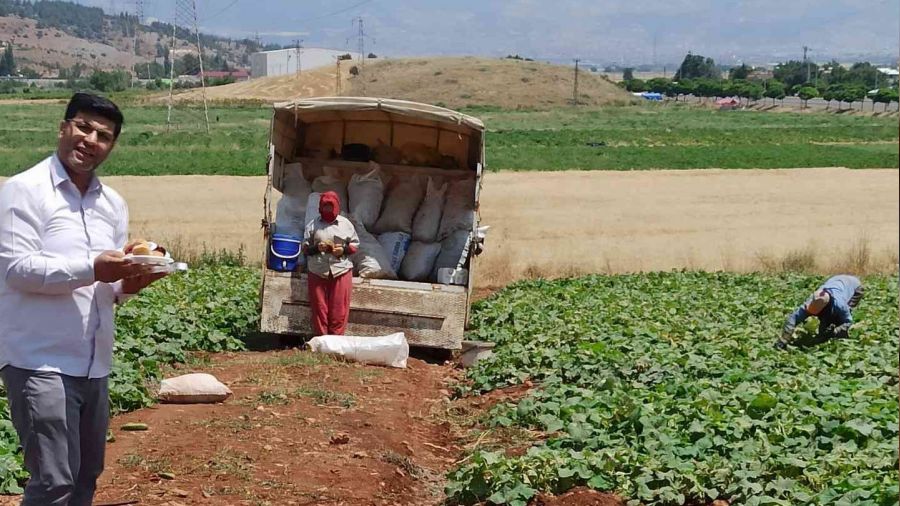 Gönüllülerden tarlada çalışan kadınlara pasta ikramı