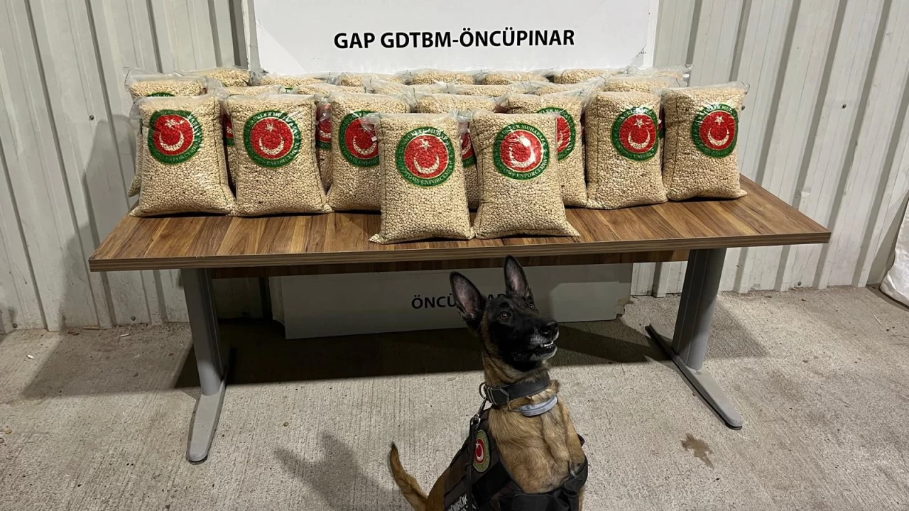 Gümrük Muhafaza ekiplerinden kaçakçılara operasyon