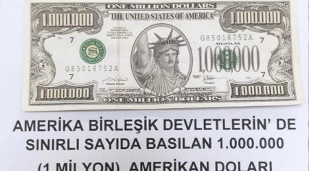 Gürpınar'da 1 milyon dolarlık banknot ele geçirildi